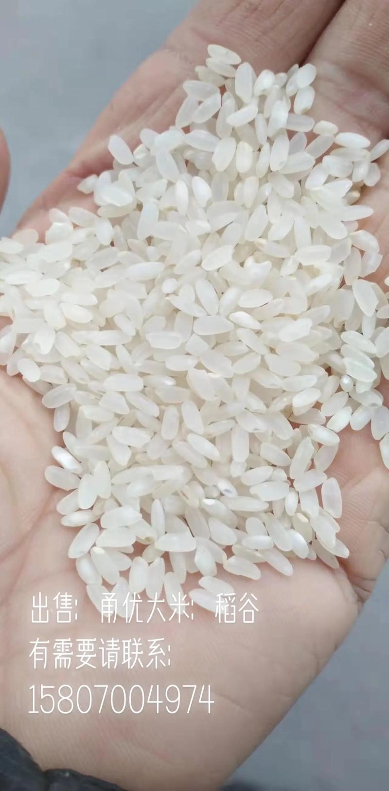 霍邱农产品