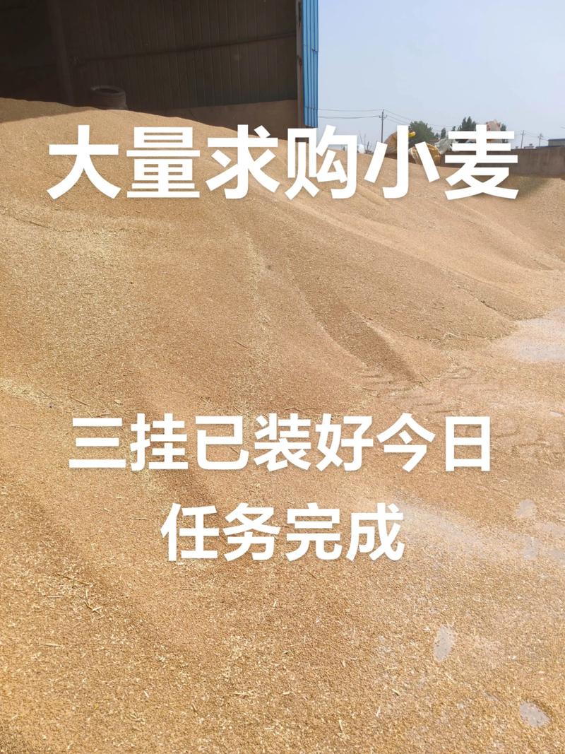 探索未来农业：家庭农场的蓬勃发展